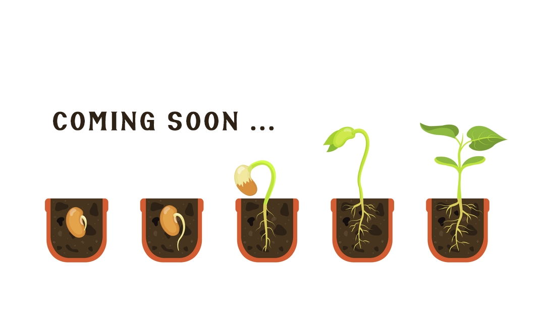 comingsoon